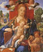 Albrecht Durer The Madonna with the Siskin Spain oil painting artist